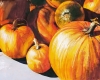 Pumpkins: Boulder Farmer's Market Series